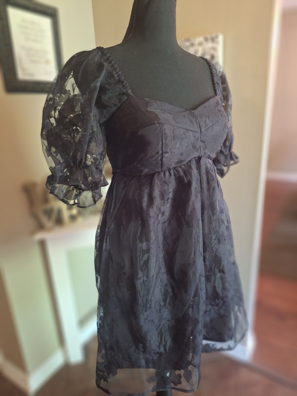 Sheer Black Floral Babydoll Dress
